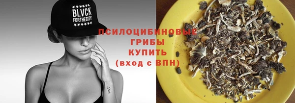прущая мука Вязники